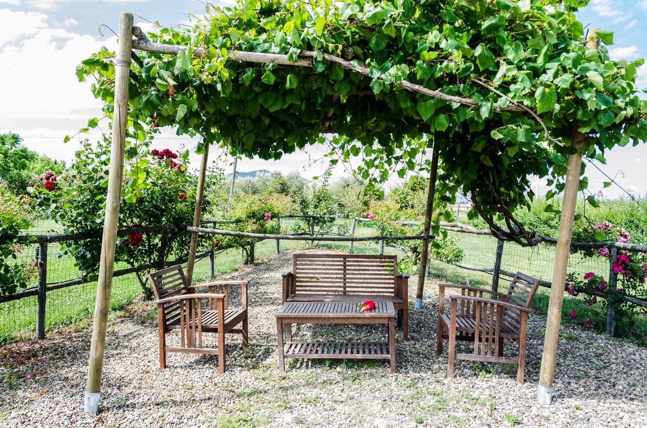 Agriturismo Il Roseto Marina di Grosseto Eksteriør billede